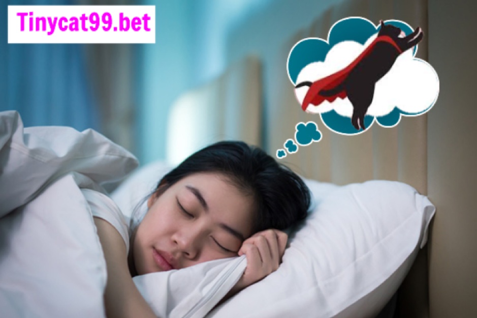 Mơ Thấy Mèo Biết Bay