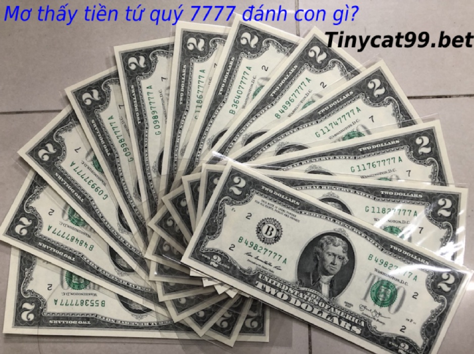 Mơ thấy tiền đô la có seri số đuôi 7777