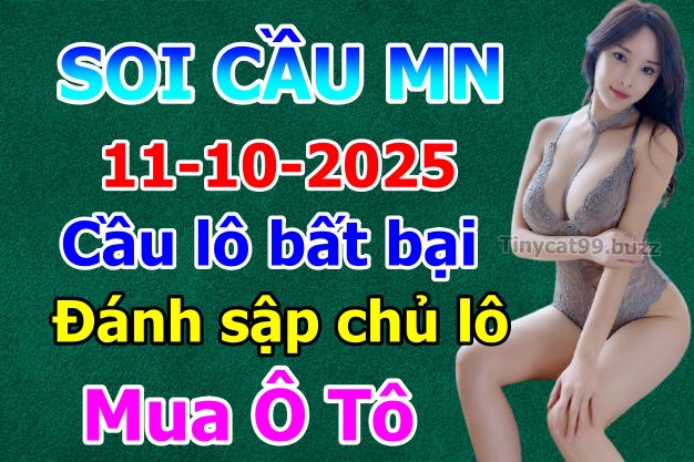 soi cầu xsmn 11-10-2025, soi cầu mn 11-10-2025, dự đoán xsmn 11-10-2025, btl mn 11-10-2025, dự đoán miền nam 11-10-2025, chốt số mn 11-10-2025, soi cau mien nam 11-10-2025