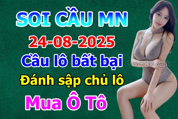 soi cầu xsmn 24-08-2025, soi cầu mn 24-08-2025, dự đoán xsmn 24-08-2025, btl mn 24-08-2025, dự đoán miền nam 24-08-2025, chốt số mn 24-08-2025, soi cau mien nam 24 08 2025