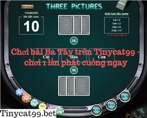 Cách Chơi Bài Ba Tây Tại Tinycat99 - Chơi 1 Lần Phát Cuồng Ngay