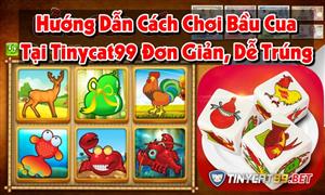 Hướng Dẫn Chơi Bầu Cua Tôm Cá Tại Tinycat99 Đơn Giản, Dễ Trúng Thưởng