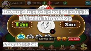 Hướng Dẫn Cách Chơi Tài Xỉu 1 Lá Bài Trên Tinycat99 Dễ Hiểu Dễ Chơi