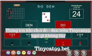 Thắng Lớn Khi Chơi Đỏ - Đen Trên Tinycat99 Ngại Gì Không Thử