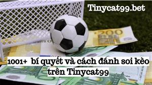 1001+ Bí Quyết Và Kinh Nghiệm Soi Kèo Tại Tinycat99 Để Trúng Thưởng