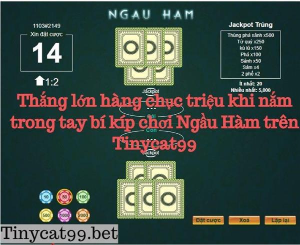 Thắng Lớn Hàng Chục Triệu Khi Nắm Trong Tay Bí Kíp Chơi Ngầu Hầm Trên Tinycat99