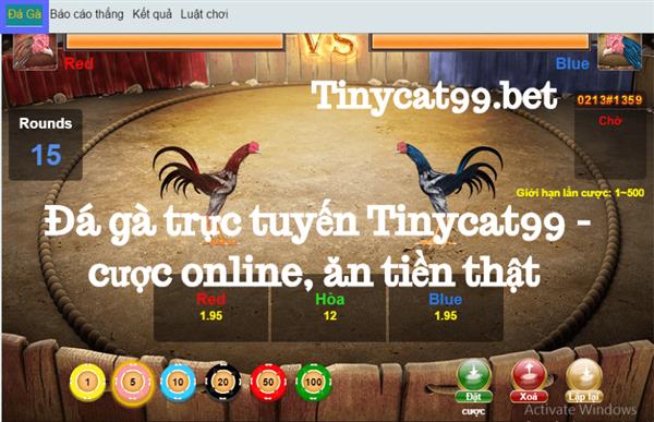 Đá Gà Trực Tuyến Tinycat99 - Cược Online, Ăn Tiền Thật