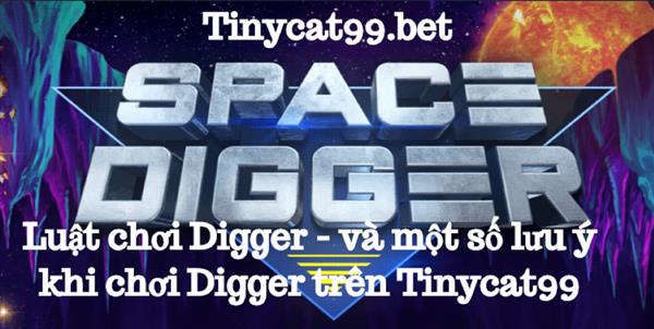 Luật Chơi Digger Và Một Số Lưu Ý Khi Chơi Digger Trên Tinycat99