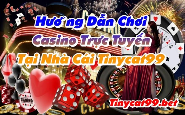 Hướng Dẫn Chơi Sòng Casino Trực Tuyến Tại Nhà Cái Tinycat99 