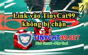 Link Vào Tinycat99 Nhanh Chóng Cập Nhật Thông Tin 