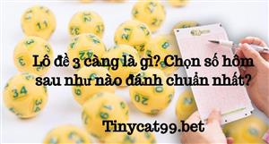 Lô Đề 3 Càng Là Gì? Chọn Số Hôm Sau Như Nào Đánh Chuẩn Nhất?