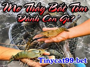 Mơ Thấy Bắt Tôm Đánh Con Gì? Ý Nghĩa Của Việc Mơ Thấy Bắt Tôm