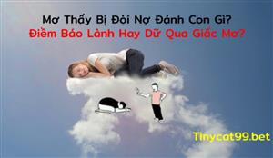 Mơ Thấy Bị Đòi Nợ Đánh Con Gì? Điềm Báo Lành Hay Dữ