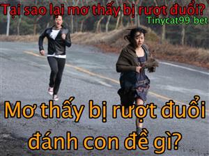 Mơ Thấy Bị Rượt Đuổi Đánh Con Gì? Bí Ẩn Và Ý Nghĩa Điềm Báo Khi Mơ Thấy Bị Đuổi