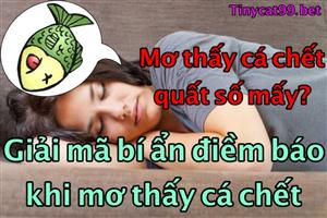 Mơ Thấy Cá Chết Là Điềm Báo Gì? Mơ Thấy Cá Chết Đánh Lô Đề Cho Là Đúng Nhất? 