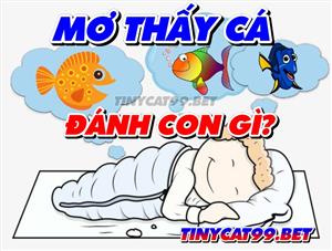 Mơ Thấy Cá Đánh Con Gì? Bí Ẩn Nằm Sau Việc Mơ Thấy Cá