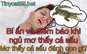 Nằm Mơ Thấy Cá Sấu Đánh Đề Con Gì? Giải Mã Giấc Mơ Cá Sấu