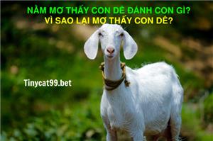 Nằm Mơ Thấy Con Dê Đánh Con Gì? Vì Sao Lại Mơ Thấy Con Dê?
