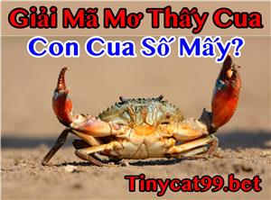 Mơ Thấy Cua Đánh Ngay Con Gì Để Trúng Lớn? Con Cua Số Mấy?