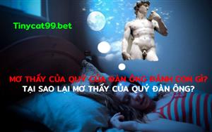 Mơ Thấy Của Quý Đàn Ông Đánh Con Gì? Tại Sao Mơ Của Quý Đàn Ông?