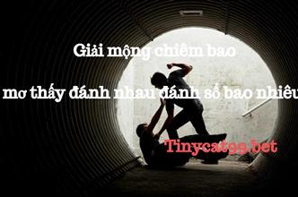 Giải Mộng Chiêm Bao Mơ Thấy Đánh Nhau Đánh Số Bao Nhiêu?