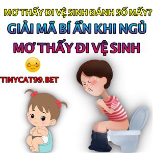 Mơ Thấy Đi Vệ Sinh Đánh Con Gì? Con Số May Mắn Mơ Đi Vệ Sinh