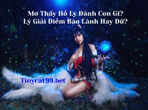 Mơ Thấy Hồ Ly Đánh Con Gì? Lý Giải Điềm Báo Lành Hay Dữ?