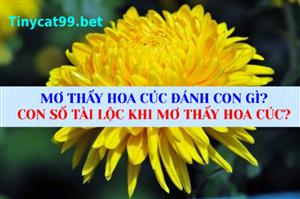 Mơ Thấy Hoa Cúc Đánh Con Gì? Con Số Tài Lộc Khi Mơ Thấy Hoa Cúc