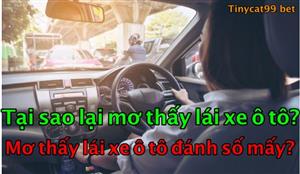Mơ Thấy Lái Xe Ô Tô Thì Đánh Con Gì? Con Số May Mắn Khi Mơ Lái Ô Tô?
