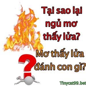 Nằm Mơ Thấy Lửa Đánh Con Gì? Giải Mã Bí Ẩn Khi Ngủ Mơ Thấy Lửa