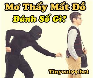 Mơ Thấy Mất Đồ Đánh Con Gì - Giải Mã Tương Lai Thông Qua Giấc Mơ