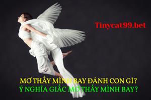 Mơ Thấy Mình Bay Đánh Con Gì? Ý Nghĩa Giấc Mơ Thấy Mình Bay?
