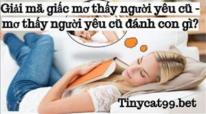 Giải Mã Giấc Mơ Thấy Người Yêu Cũ - Mơ Người Yêu Cũ Đánh Số Mấy