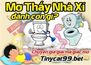 Giải Mã Giấc Mơ: Mơ Thấy Nhà Xí Đánh Con Gì?
