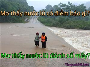 Nằm Mơ Thấy Nước Lũ Thì Đánh Đề Con Nào? Ý Nghĩa Giấc Mơ Nước Lũ