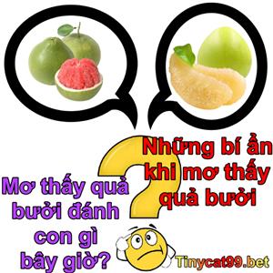 Mơ Thấy Thấy Quả Bưởi Đánh Con Gì, Số Mấy? Bí Ẩn Khi Mơ Thấy Quả Bưởi