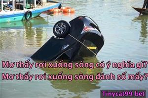 Nằm Mơ Thấy Rơi Xuống Sông Đánh Con Nào? Mơ Rơi Xuống Xong Mang Ý Nghĩa Gì?