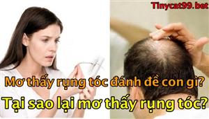 Nằm Mơ Thấy Rụng Tóc Đánh Con Gì? Giải Mã Giấc Mơ Rụng Tóc