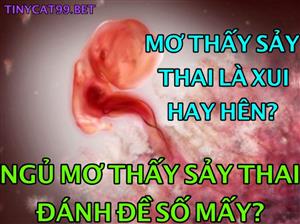 Nằm Mơ Thấy Sảy Thai Đánh Con Gì? Ý Nghĩa Giấc Mơ Sảy Thai