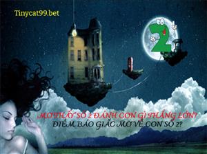 Mơ Thấy Số 2 Đánh Con Gì Thắng Lớn? Điềm Báo Giấc Mơ Về Con Số 2?