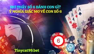 Mơ Thấy Số 6 Đánh Con Gì? Ý Nghĩa Giấc Mơ Về Con Số 6 