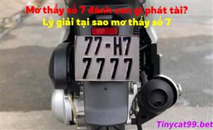 Mơ Thấy Số 7 Đánh Con Gì? Bí Ẩn Con Số Lô Đề Khi Mơ Thấy Số 7