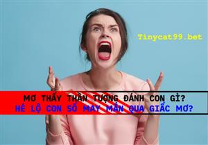 Mơ Thấy Thần Tượng Đánh Con Gì? Hé Lộ Con Số May Mắn Qua Giấc Mơ?