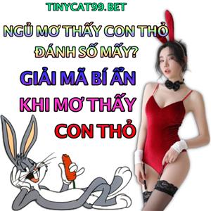 Nằm Mơ Thấy Con Thỏ Đánh Đề Số Nào? Giải Mã Ý Nghĩa Thấy Thỏ