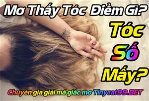 Mơ Thấy Tóc Đánh Con Gì Để Trúng 2 Nháy - Điềm Báo Mơ Thấy Tóc