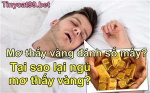Nằm Mơ Thấy Vàng Có Ý Nghĩa Gì? Điềm Báo Và Bí Ẩn Con Số Lô Đề 