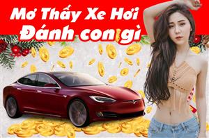 Mơ Thấy Xe Ô Tô Đánh Đề Con Gì Sẽ Thắng Đậm?