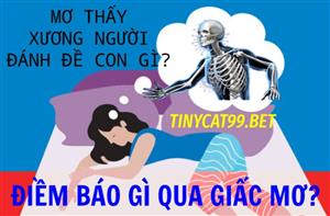 Mơ Thấy Xương Người Đánh Đề Con Gì? Điềm Báo Gì Qua Giấc Mơ 