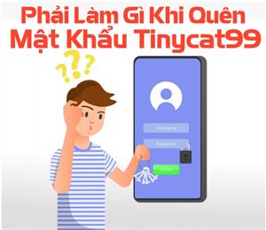 Phải Làm Gì Khi Quên Mật Khẩu Tinycat99?