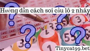 Cách Soi Cầu Lô 2 Nháy Ăn Chắc Chính Xác Chuẩn Nhất Vịnh Bắc Bộ